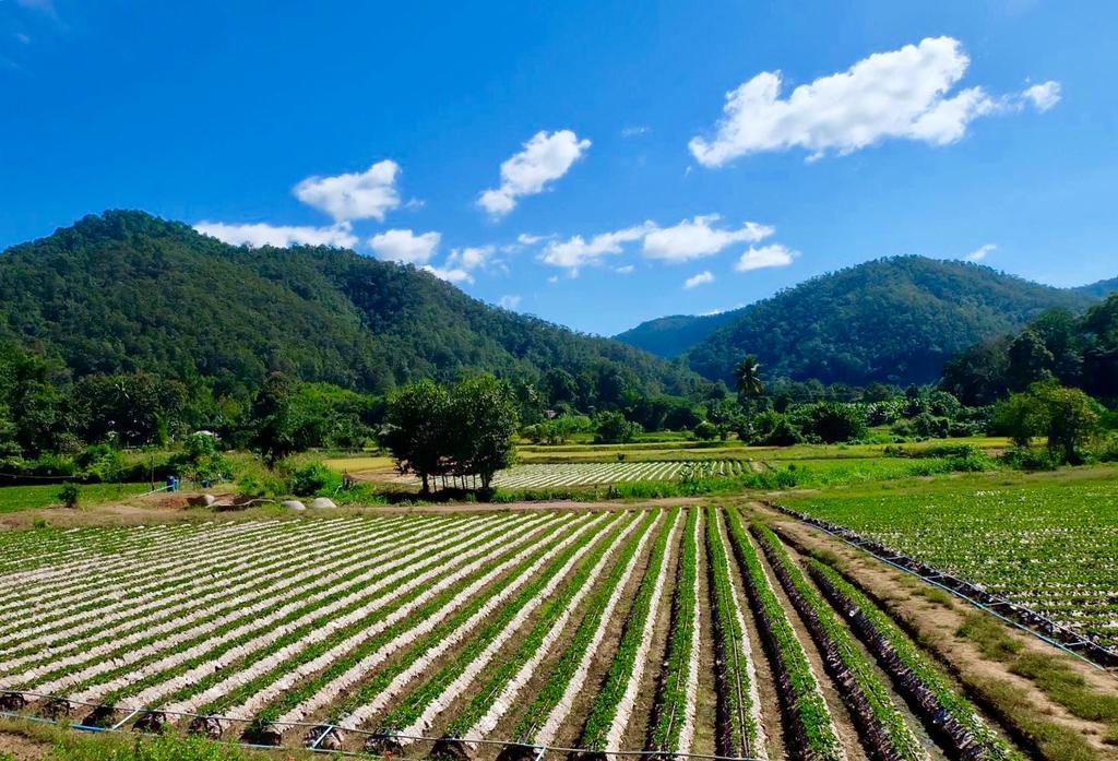 Villa Wongwan Farm à Samoeng Extérieur photo